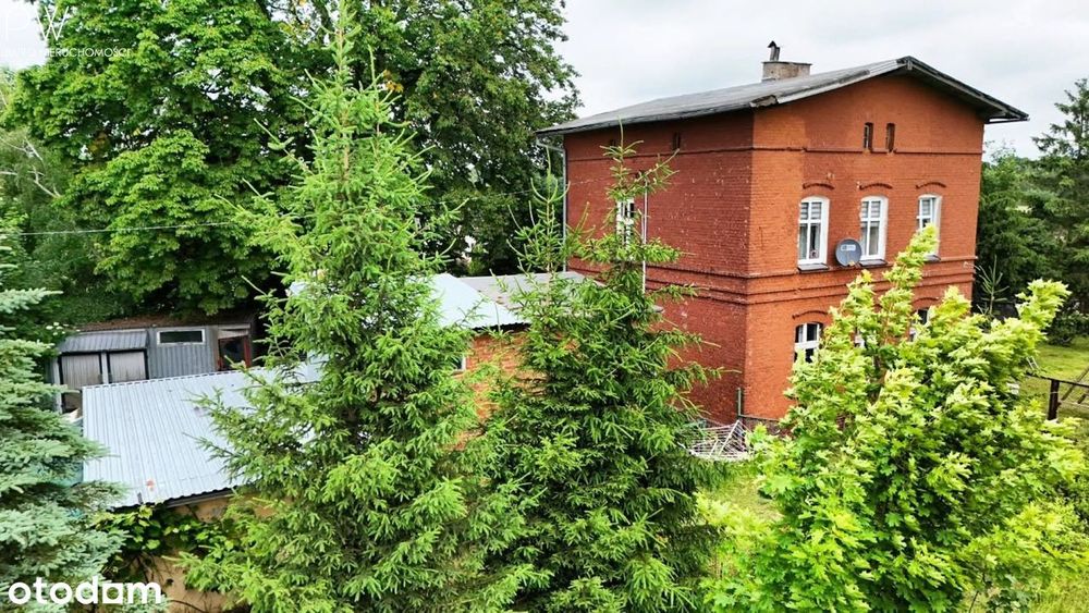 bezczynszowe mieszkanie z ogródkiem
