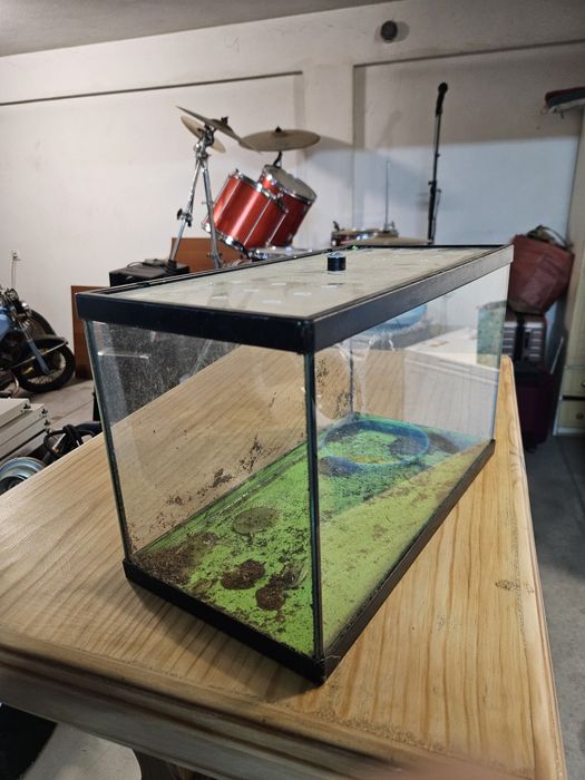 terrário para répteis