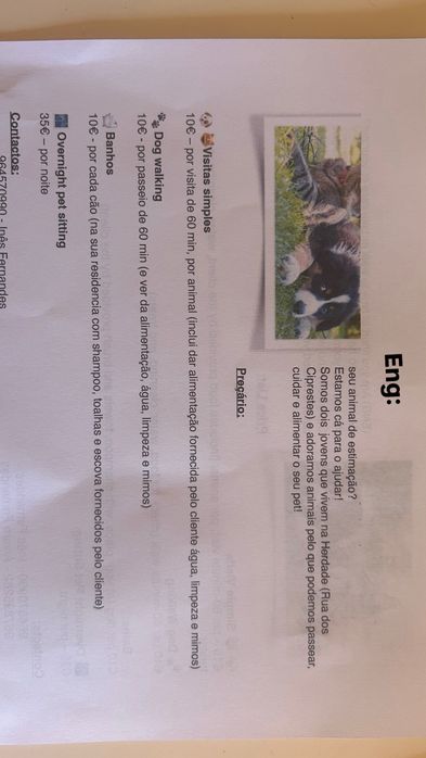 Pet Care506976271473070081