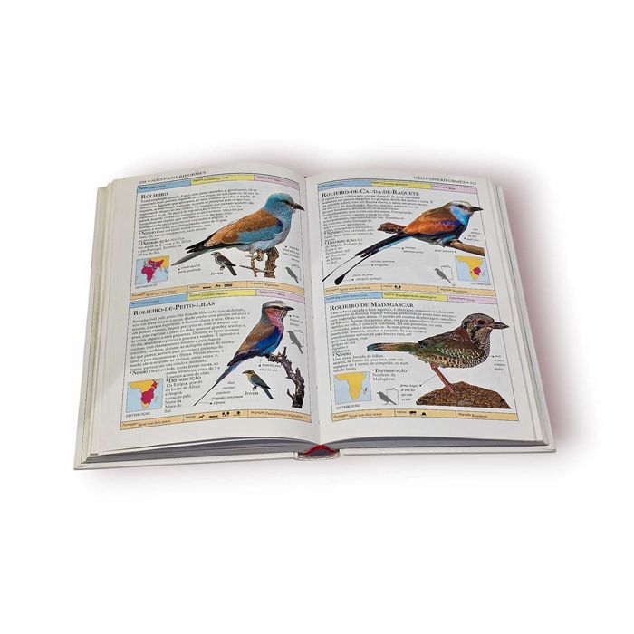 Aves do Mundo – Guia Ilustrado Ornitologia | Segredos da Natureza