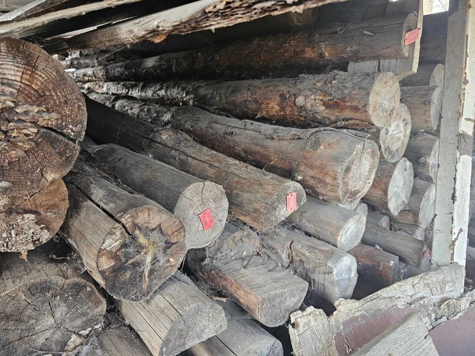 Drewno opał, suche stemple sosnowe 17m3