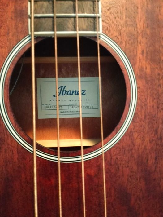 Ibanez PNB14E Electro Acoustic Bass, Open Pore Natural