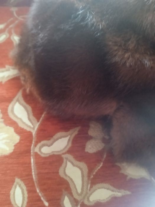 Продам хутро натуральне норка