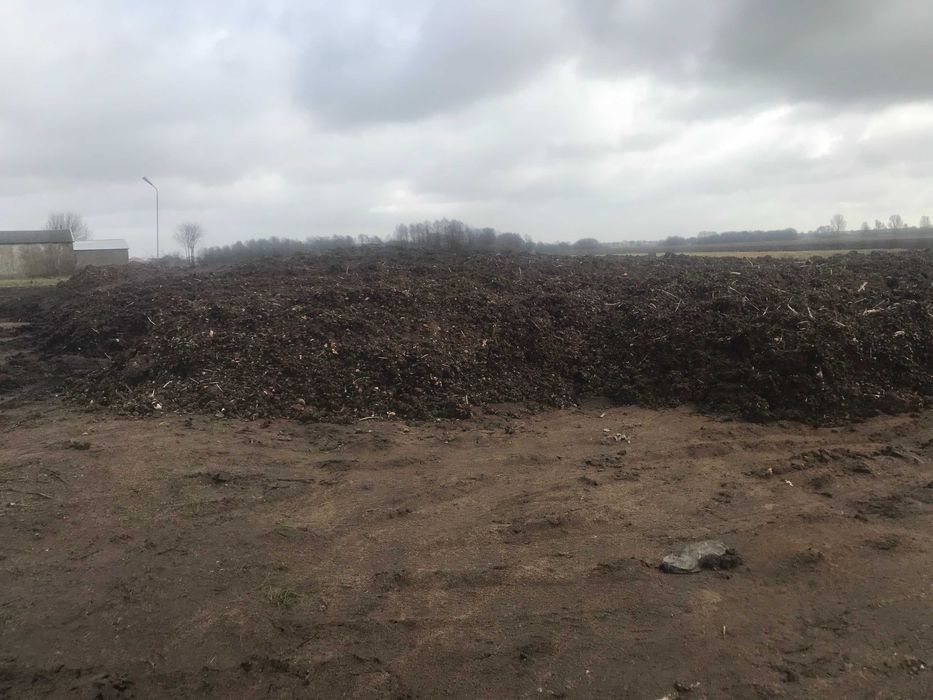 Obornik kurzy  [Kurzak]