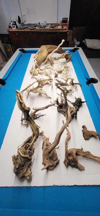 Troncos e raizes para aquario