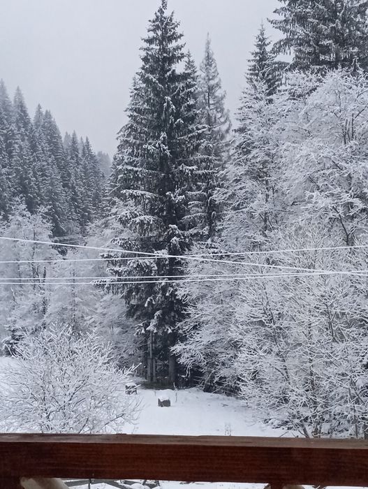 Відпочинок в Карпатах