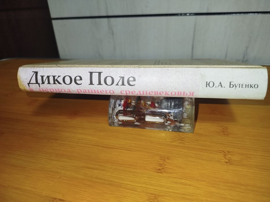 Ю. А. Бутенко. Дикое поле в период раннего средневековья