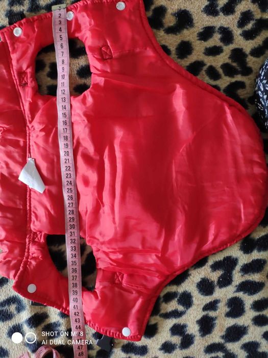 Одежда для собакчки