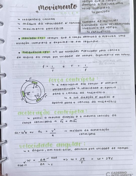Resumos Física e Química A 10º e 11º para Exame Nacional IAVE 2026