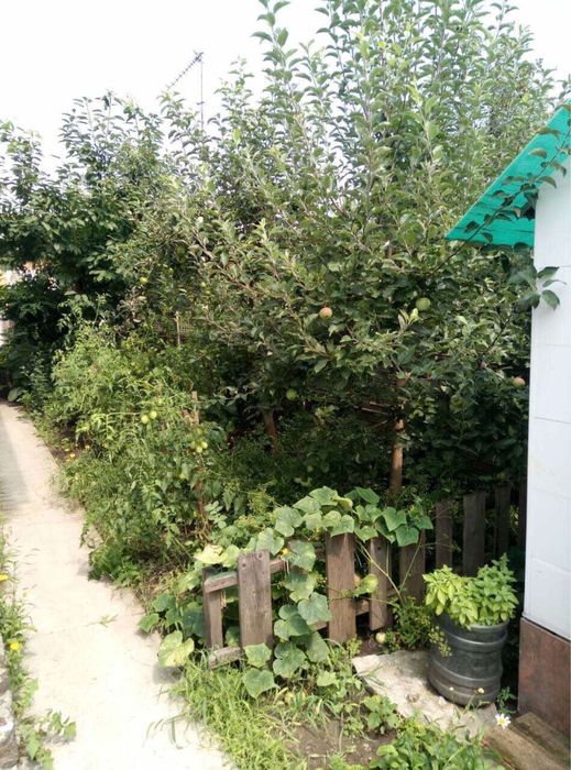 Пропонуємо до продажу капітальну частину будинку для великоі сім"і