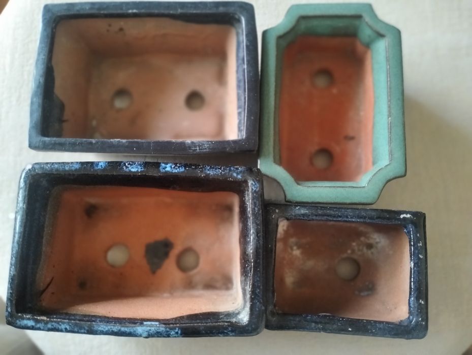 Bazos e pratos para bonzai