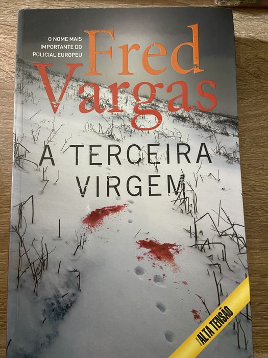 Livro A terceira virgem