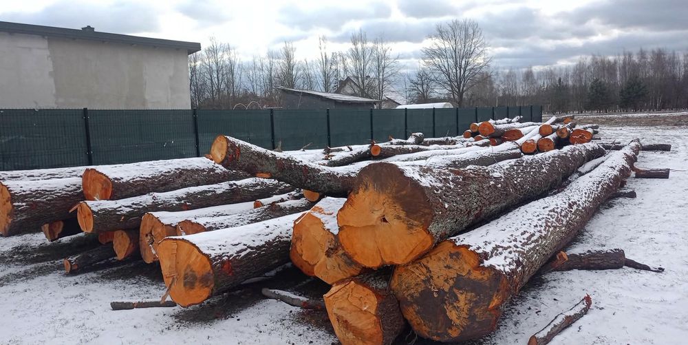 Sprzedam dłużyce Olchy