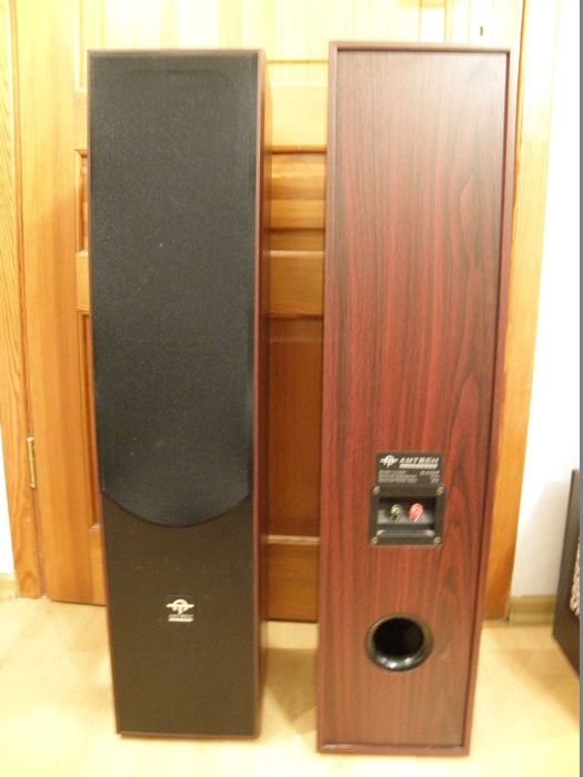 Kolumny frontowe Amtech SS AT5000F