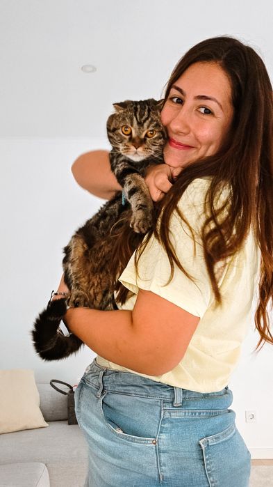 Catsitting personalizado do domicílio em Almada