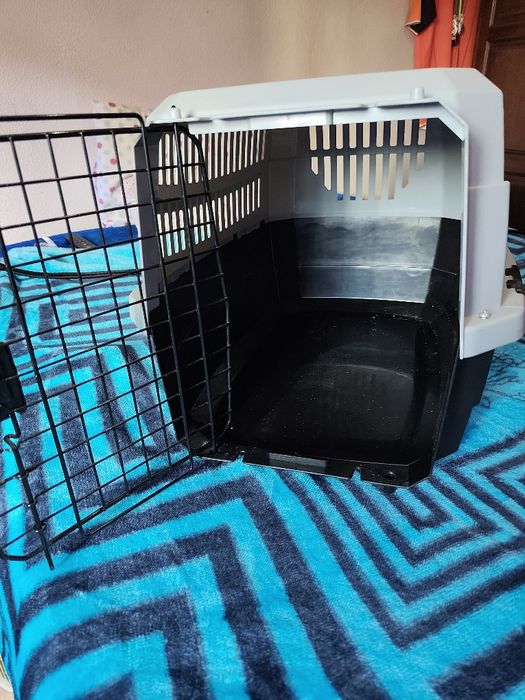 Transportadora de animais