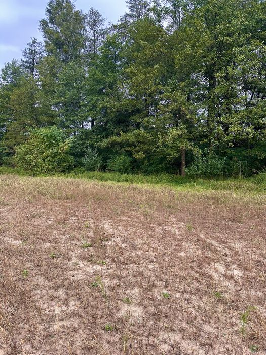 Działka budowlana jezioro las warunki zabudowy media