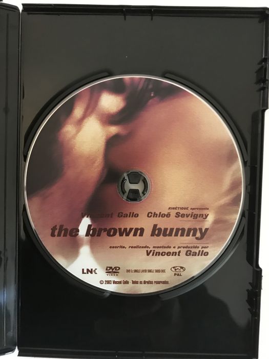 The Brown Bunny - Vincent Gallo