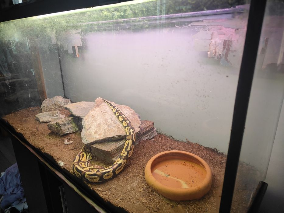 Akwarium 240 litrów