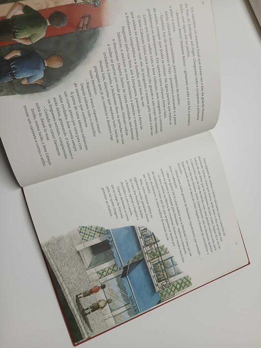 Livro Um Menino Chamado Armando - Luísa Ducla Soares