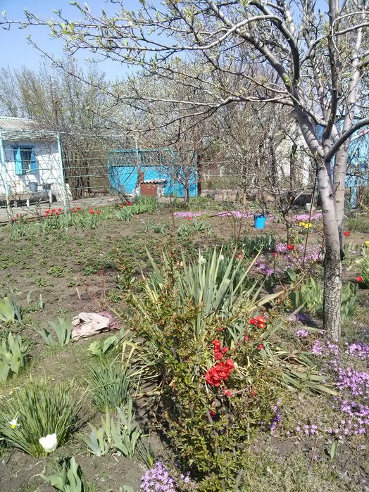 ДАЧА, Дніпро, Дніпровський район (Дніпро-2) Не далеко від "Старі Кодаки" (скрин карти додаю) (дача Днепр)