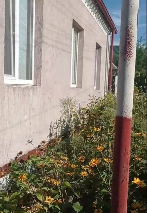 Продам будинок, Животилівка