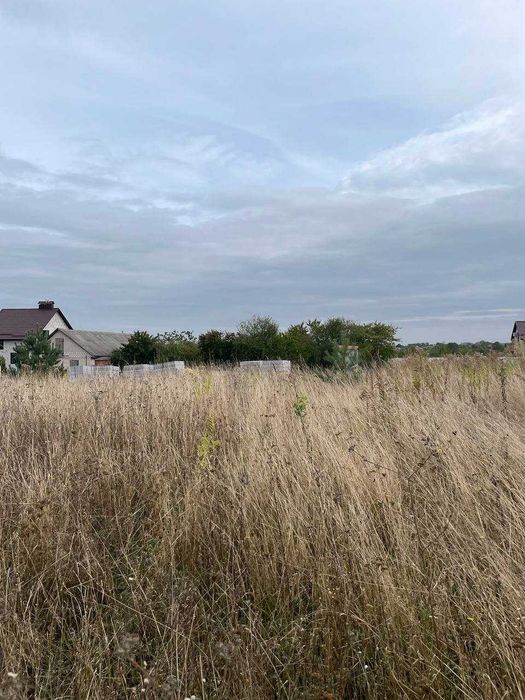 (5)   Продам зем. ділянку в с. Бохоники 9081