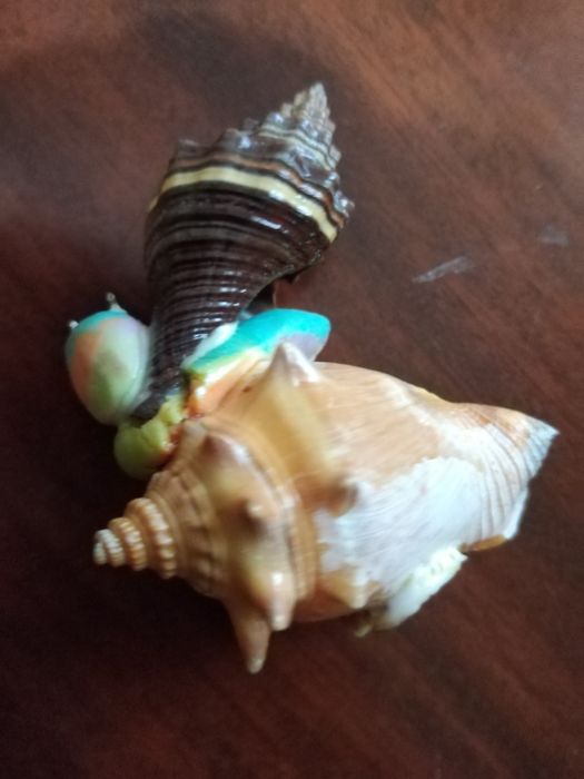 Peça para decoração Vila Velha só 3€