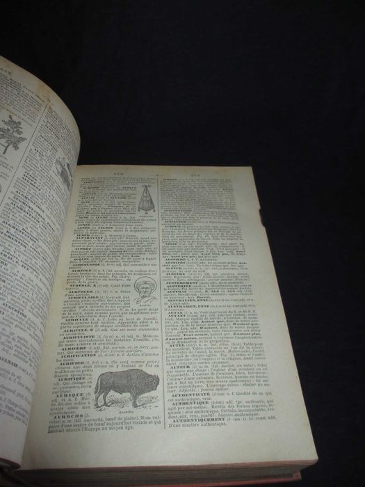 Livro Petit Larousse Illustré 1911