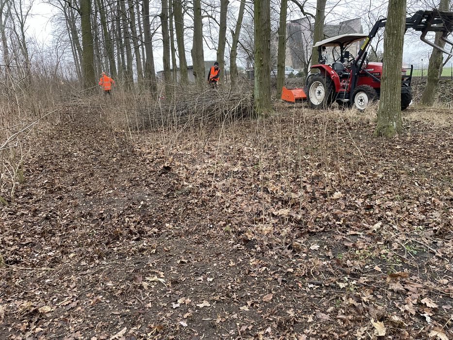 Kosimy Ścinamy Wycinamy i Karczujemy