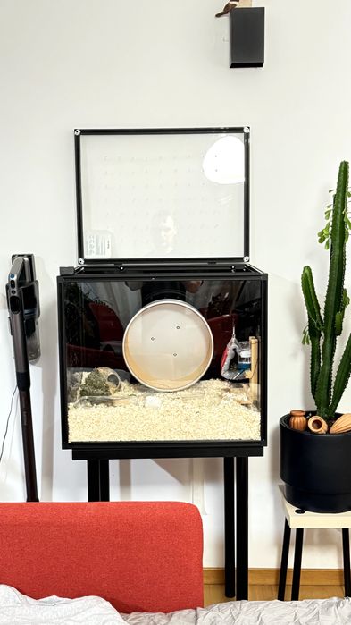 Nowoczesne Terrarium 60x55x50 + stolik, 1 lub 2 szt