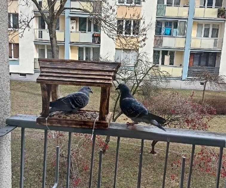Karmnik dla ptaków opalony