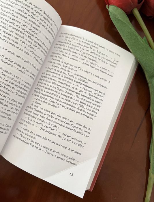 Os Cadernos de Dom Rigoberto de Mario Vargas LLosa