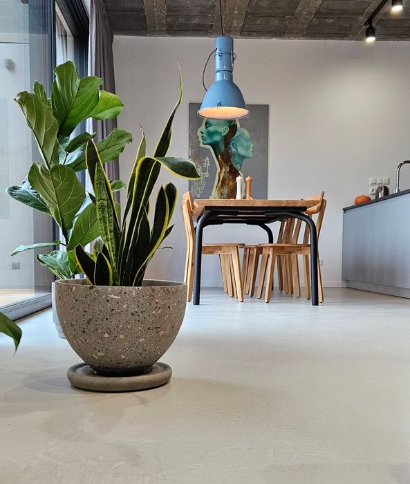Mikrocement Mikrobeton Lastryko terrazzo Posadzki Żywiczne  Beton