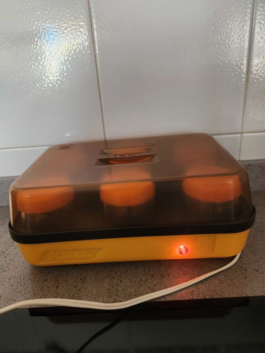 Iogurteira antiga, como nova.