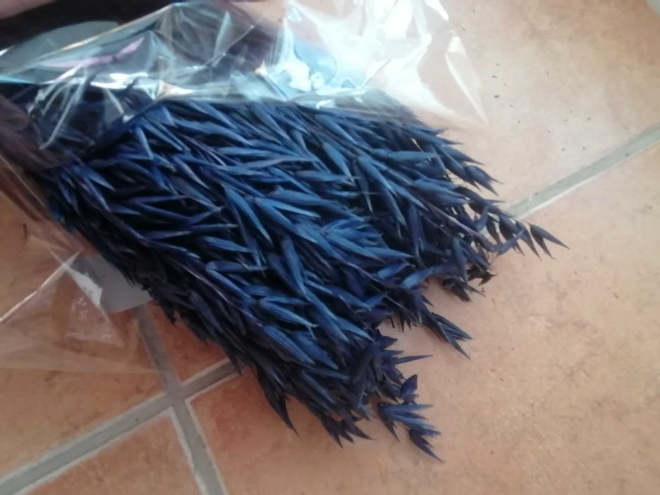 Flores secas para arranjos florais