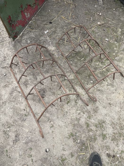 Продам       боруни