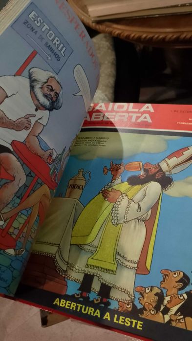 Um Ano com a Gaiola Aberta José Vilhena