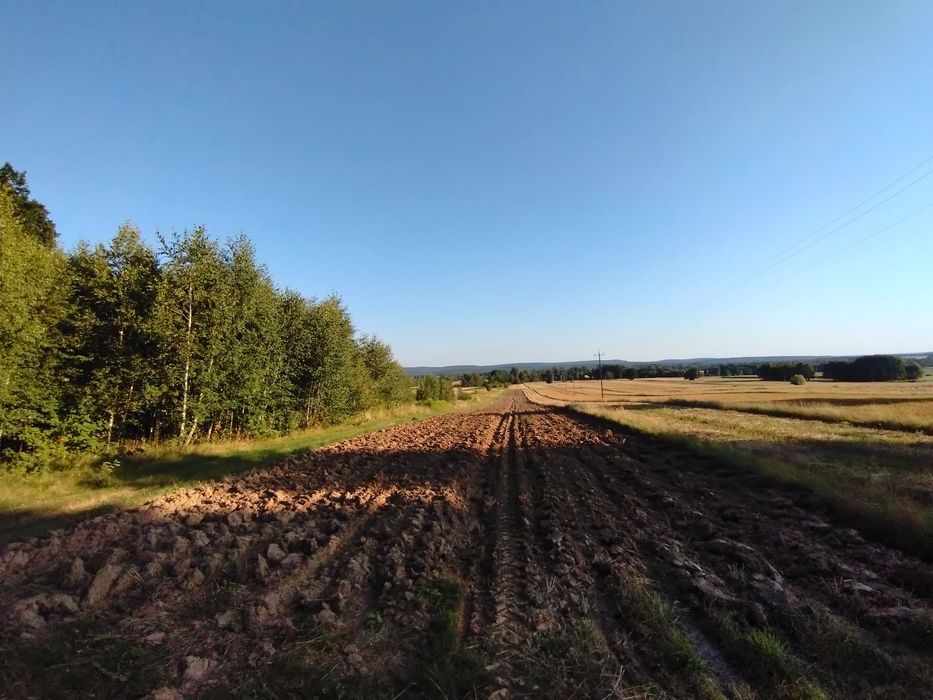 Wydzierżawię oddam w dzierżawę - Widok 2