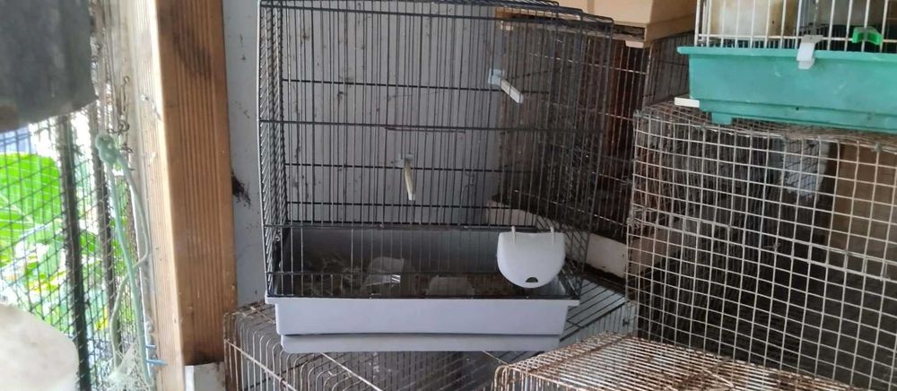 Varias gaiolas de aves