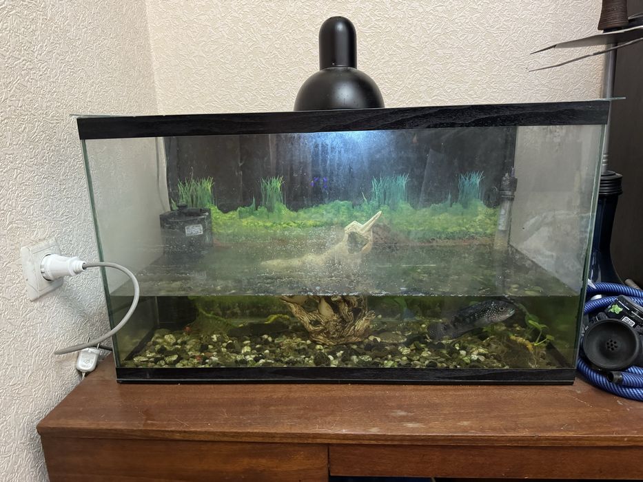 Аквариум 80л /фильтром/обогревом/декором