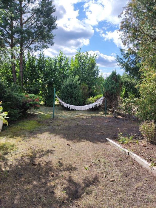 „Działka rekreacyjna ROD „Aronia” – 478 m² – Okuniew” - Widok 3