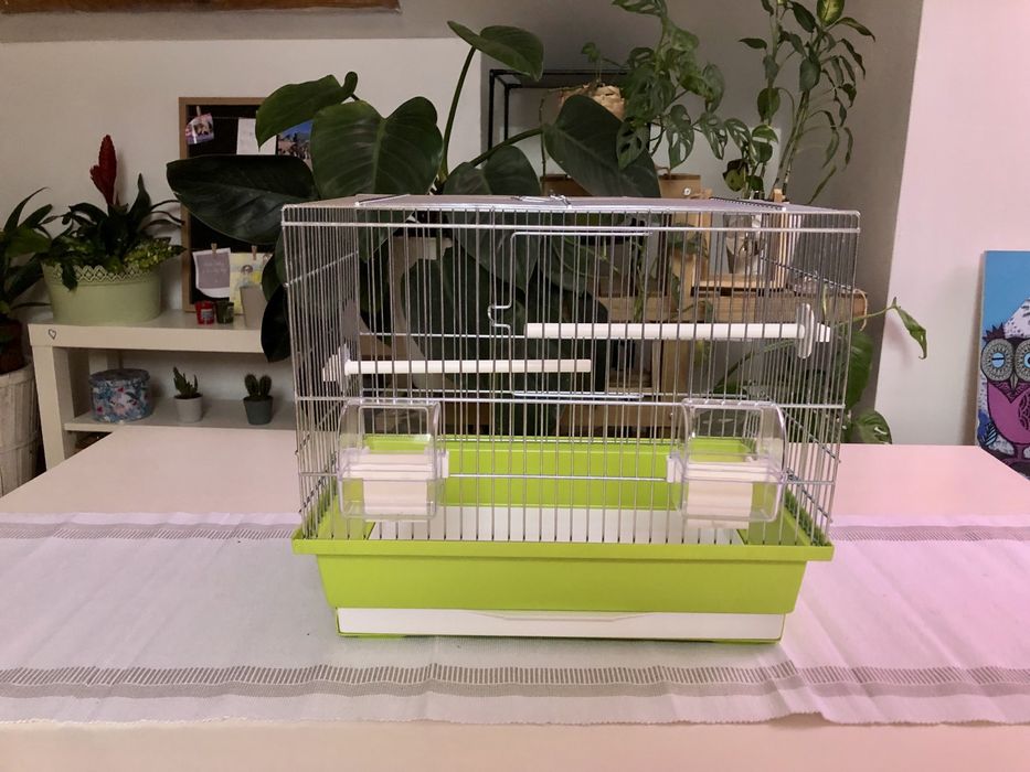 Nowa wyposażona klatka dla kanarka papug 39x25x34cm