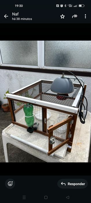Gaiolas de codornizes p/ criação