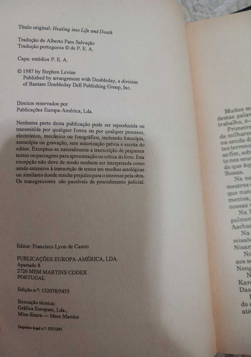 Livros de Stephen Levine