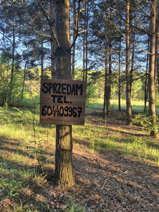 Działka budowlana w Aleksandrii - bez pośredników