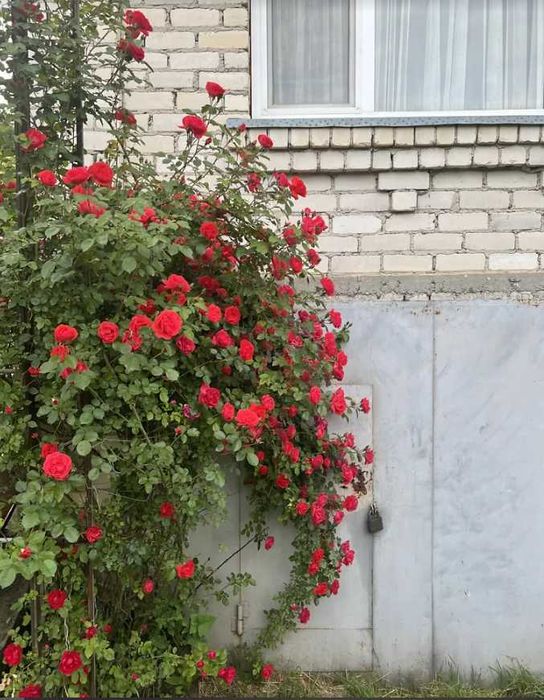 Продається 2-поверховий будинок з ділянкою!