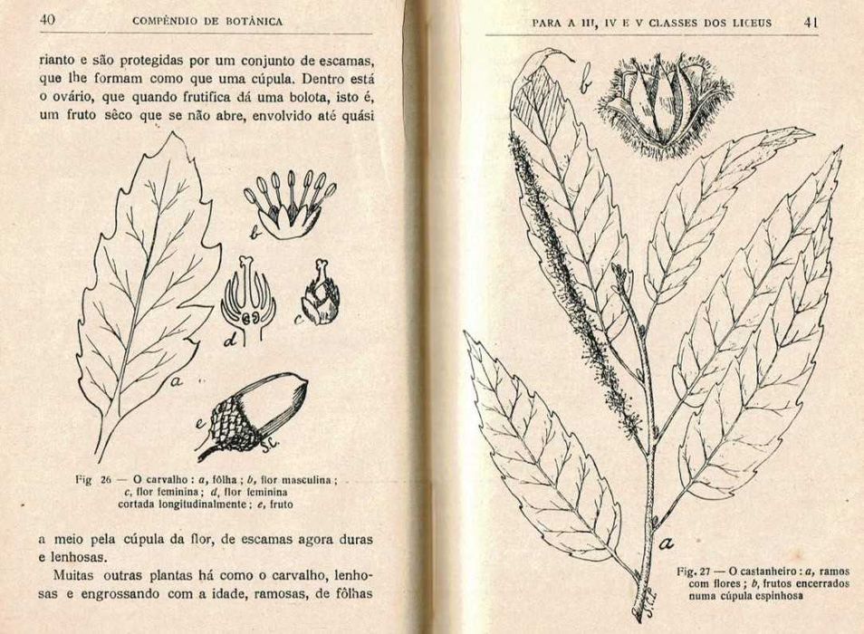 Compêndio de Botânica - 1935
