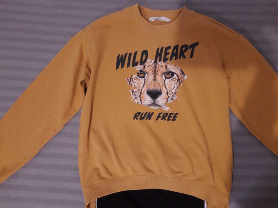 Bluza  dla dziewczynki HM 146
