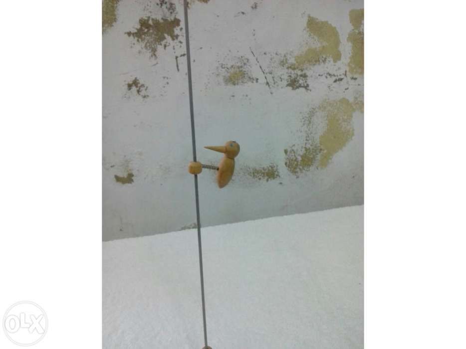 Pica Pau